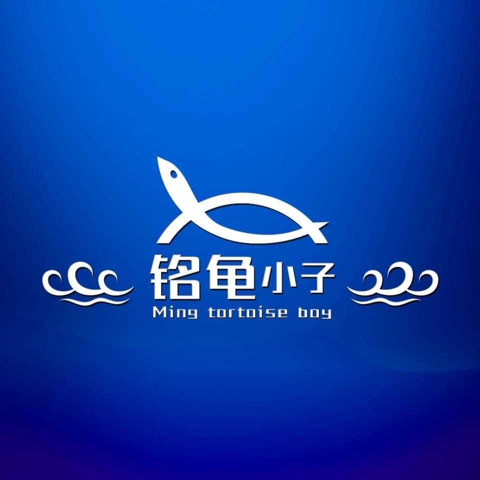 铭龟爬宠小铺