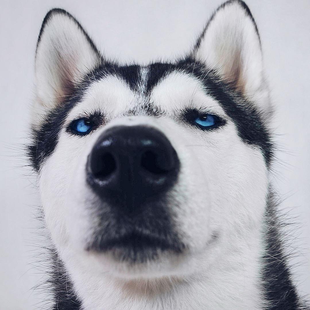 超级星座海乐店 阿文