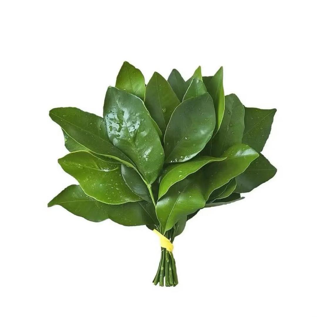 羞羞