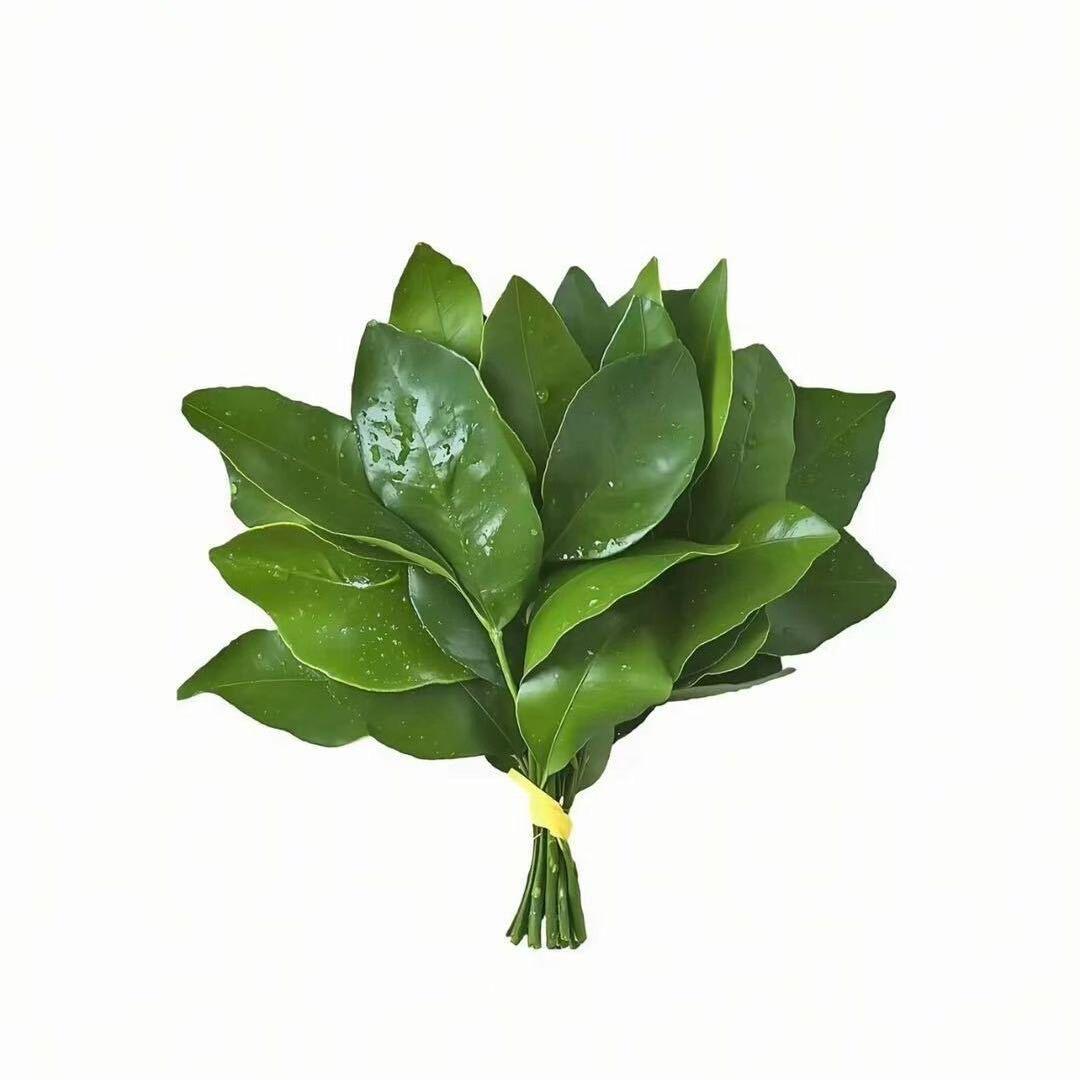 18威酒吧（阿富）