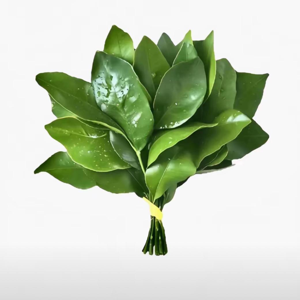 🥳喜乐小福星༻