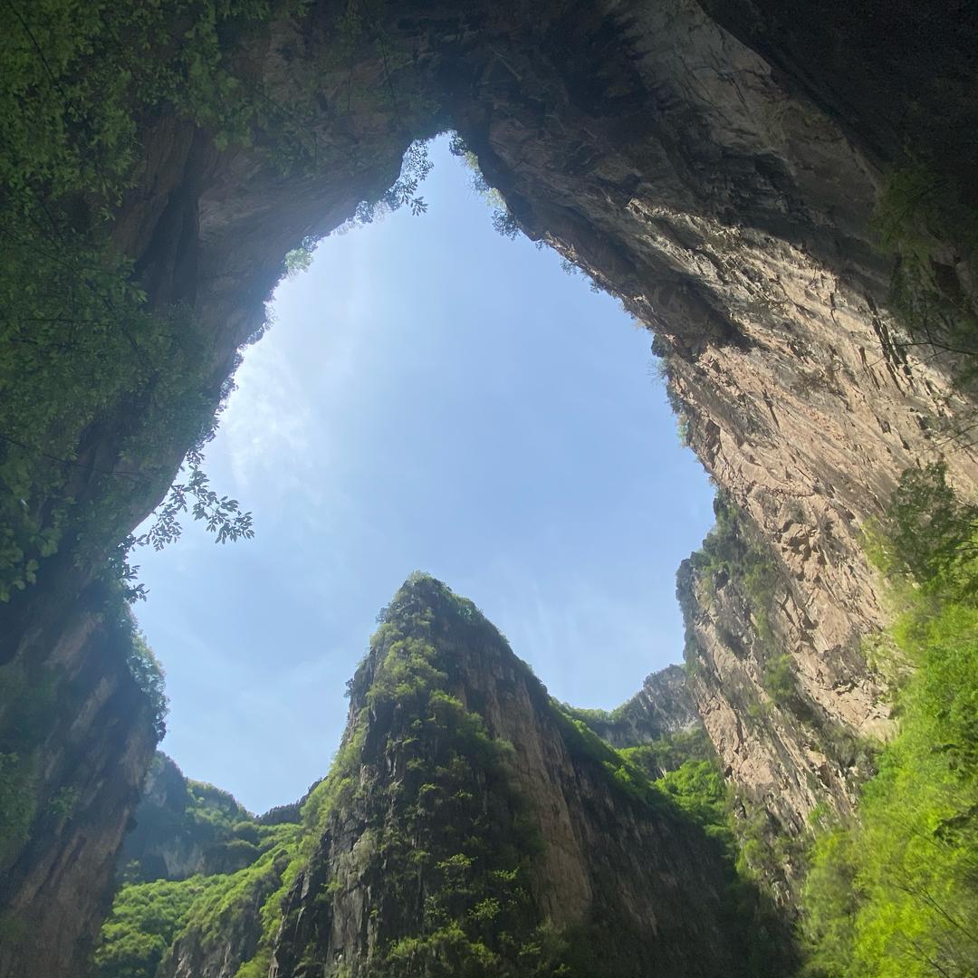 鑫双环八类轴承