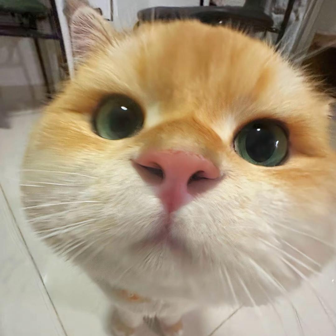 犽马丸