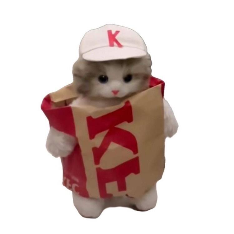 pp