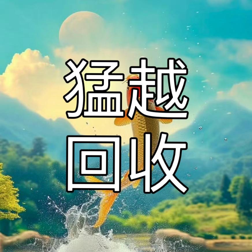 定州王猛回收站