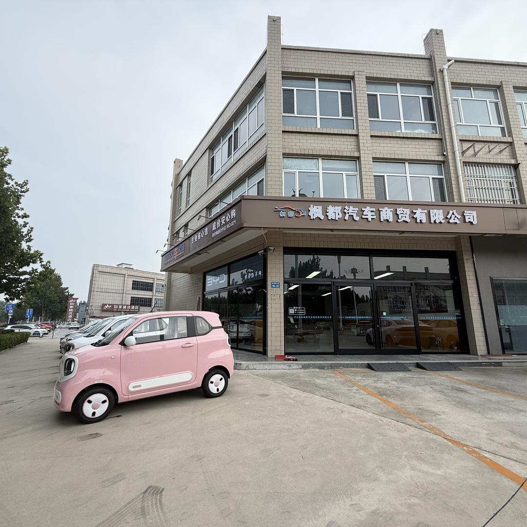 雄安枫都新能源汽车