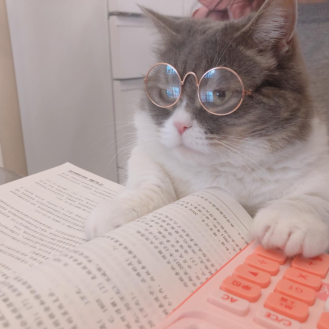 臭脸嘟嘟的一家