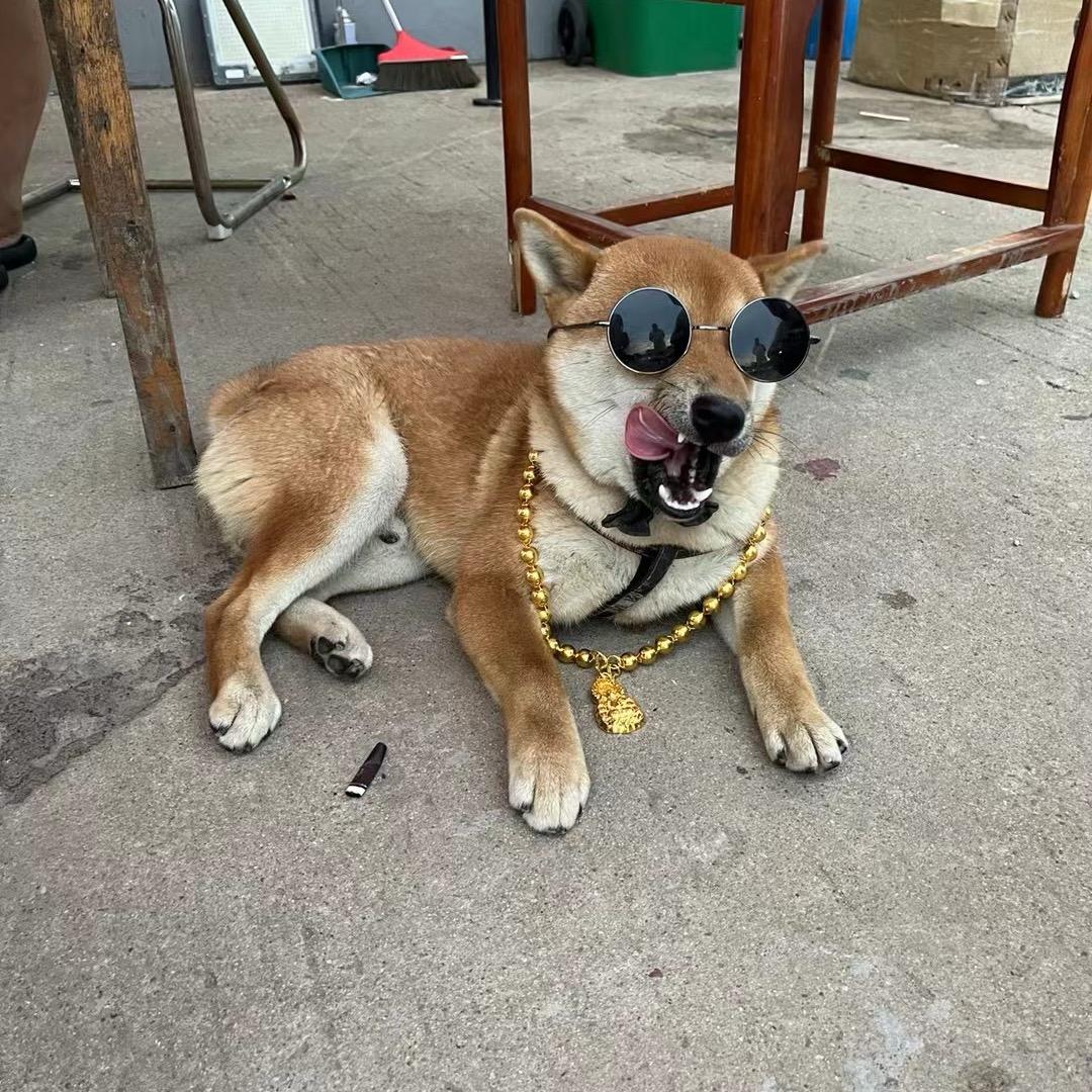 二狗子（789大队）