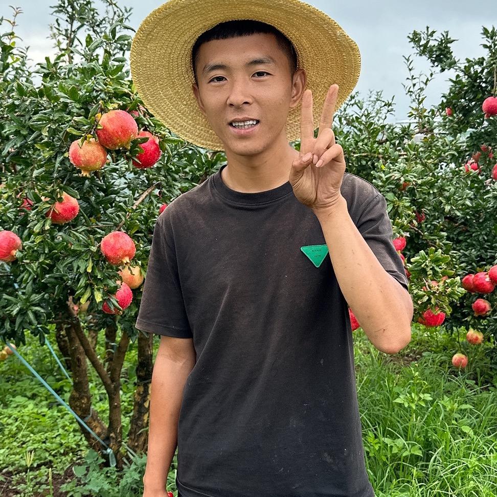 柚柠水果小黄