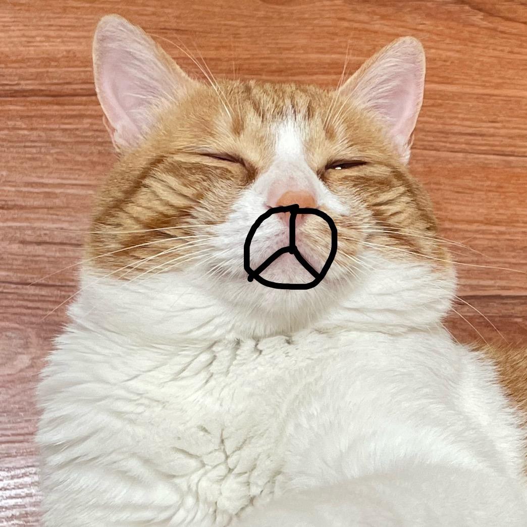 茶栀秋（见过Eason版