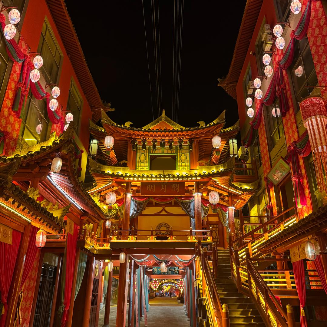 追阳淡客
