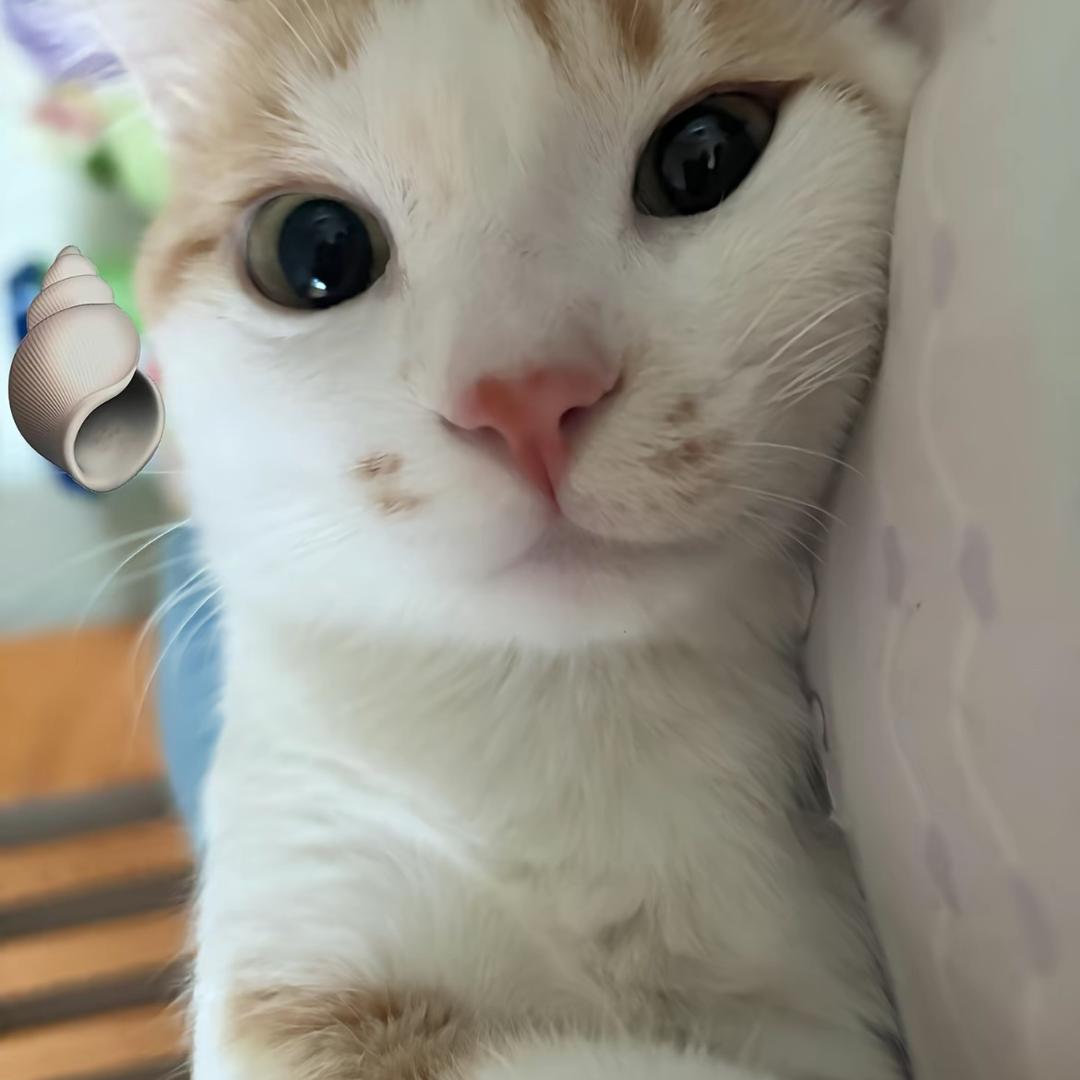 煎个鸡蛋吃
