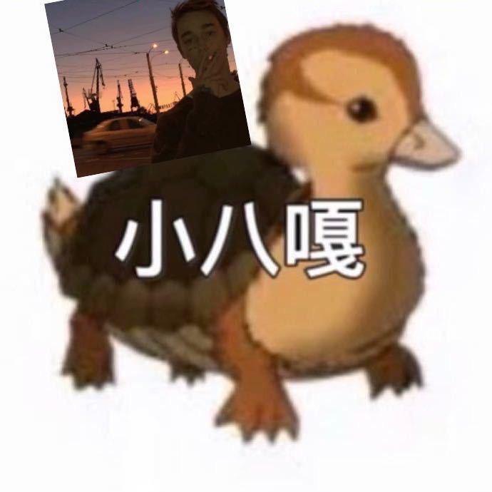 ….