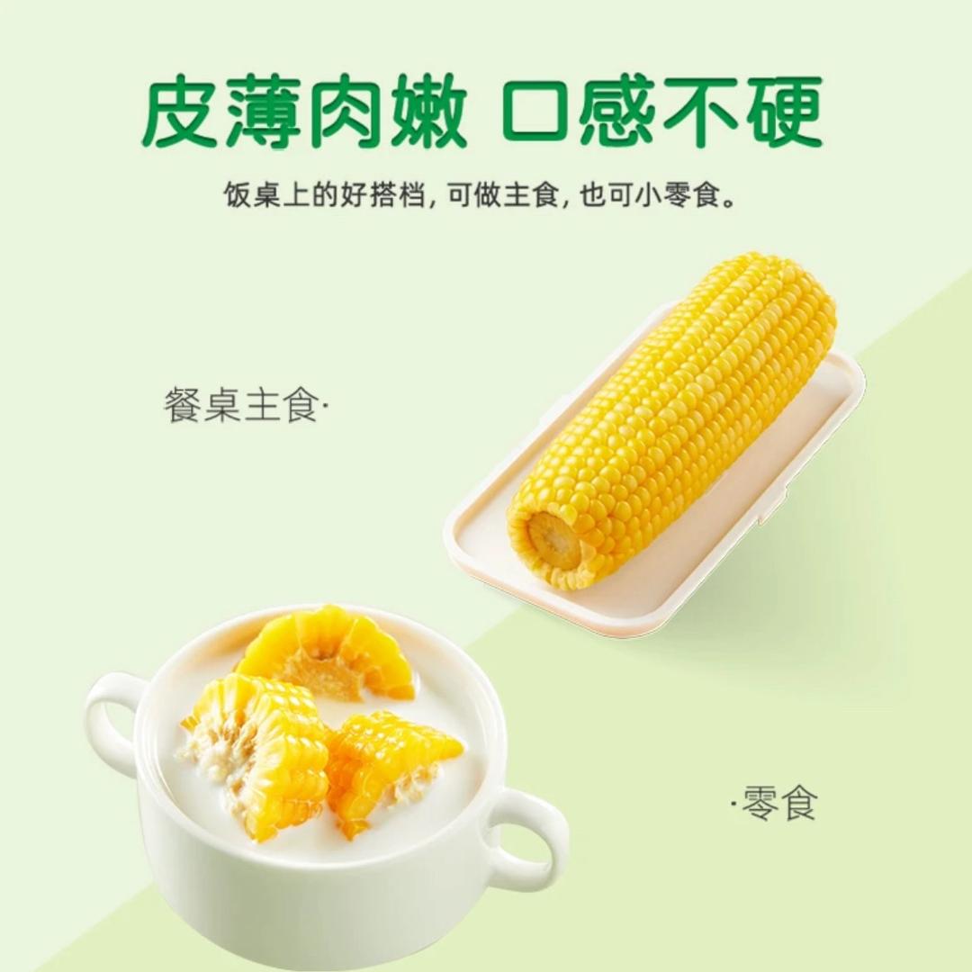 是小洋严选呀