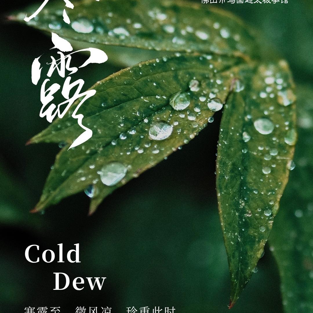 佛山太极慢生活