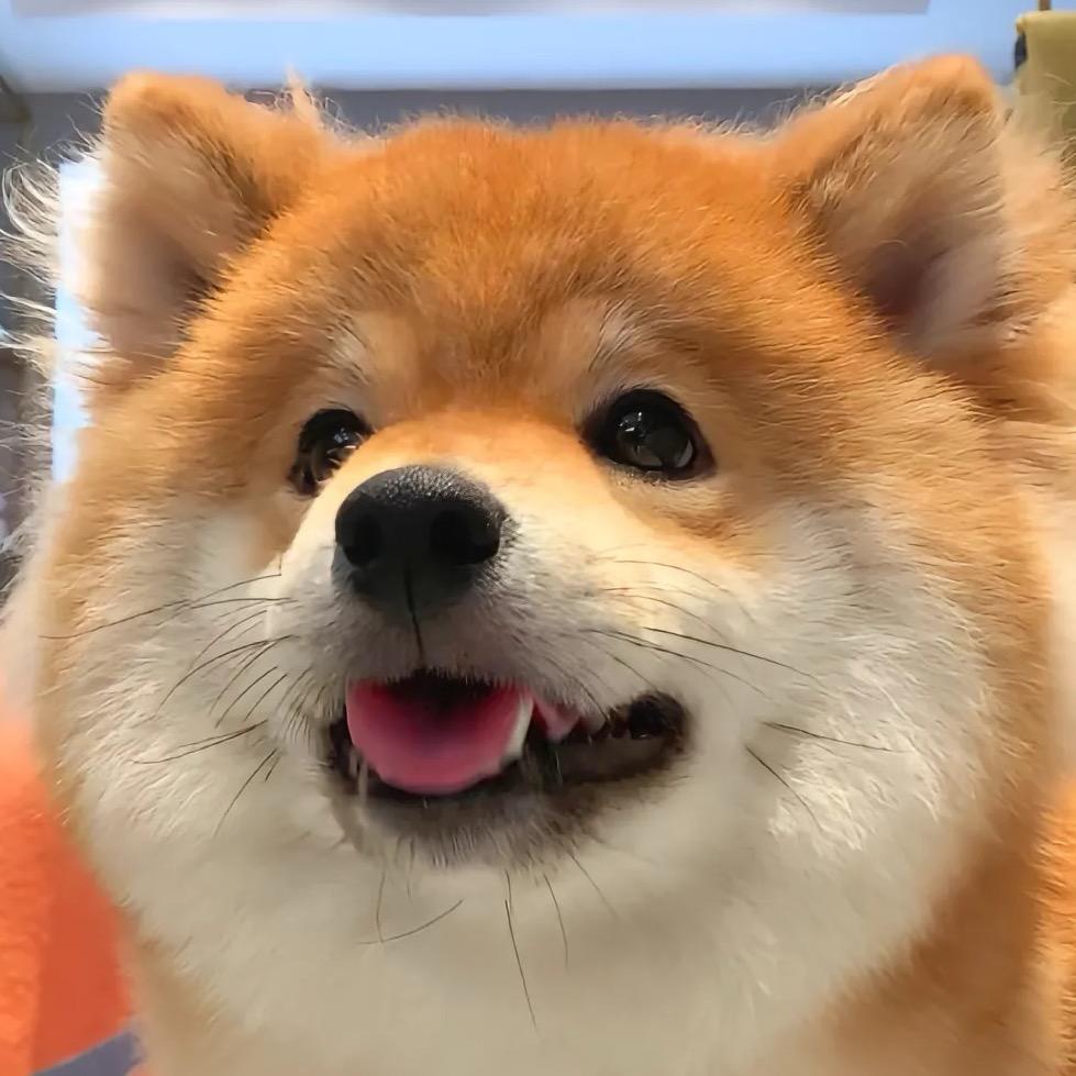 垣光