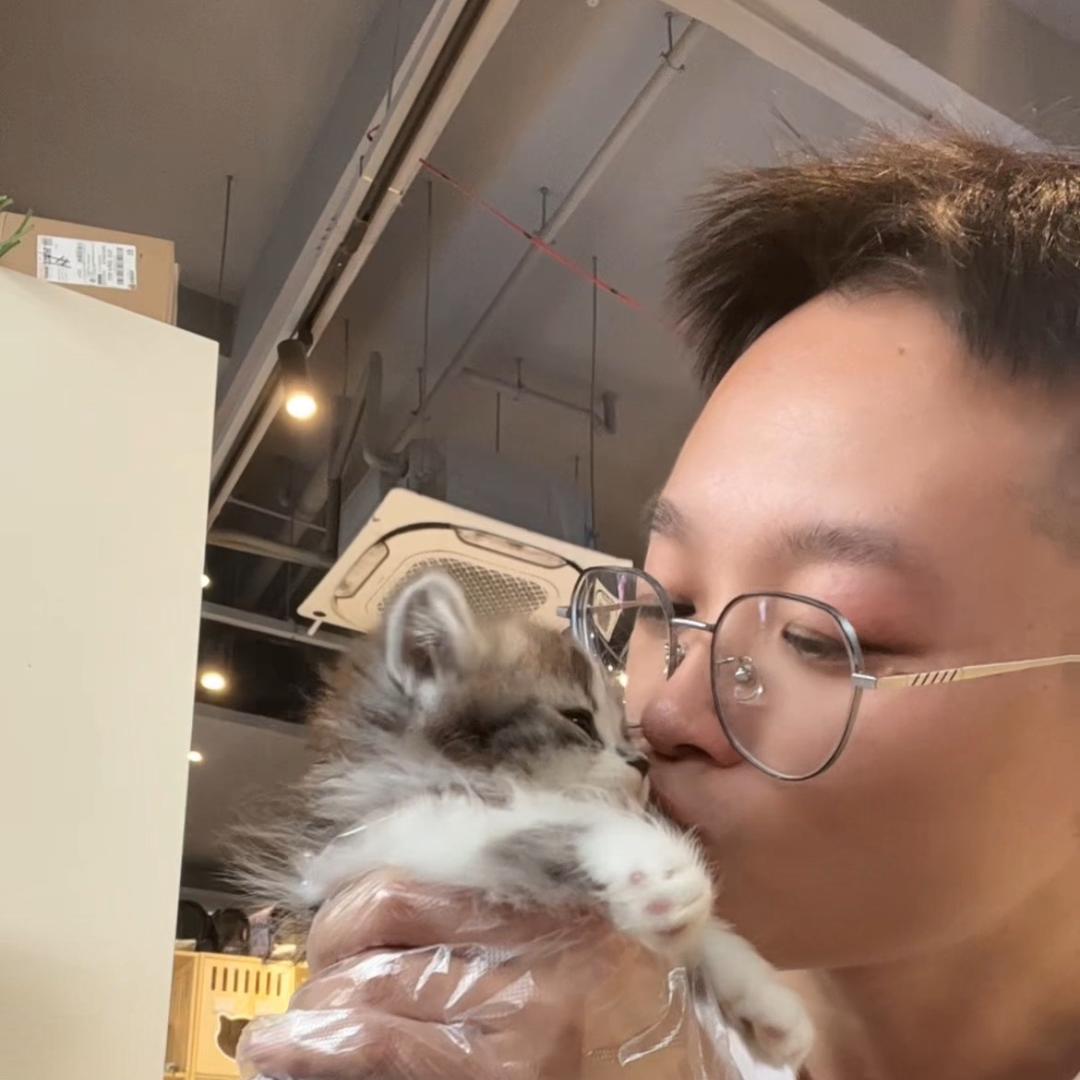 深圳猫狗小站直播号杰咪