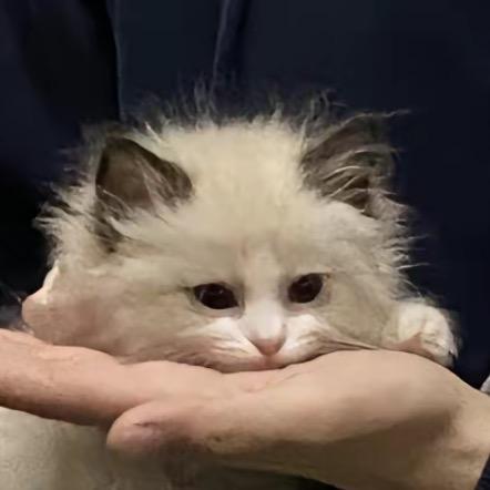 健康幸福
