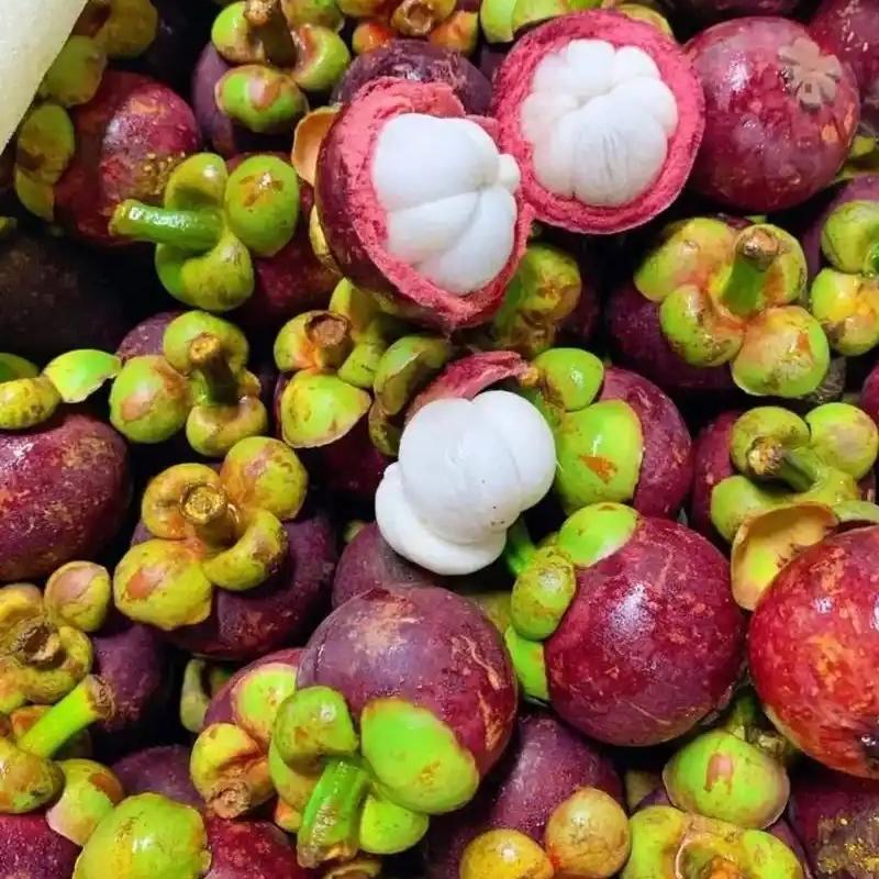 悟空生鲜明日达