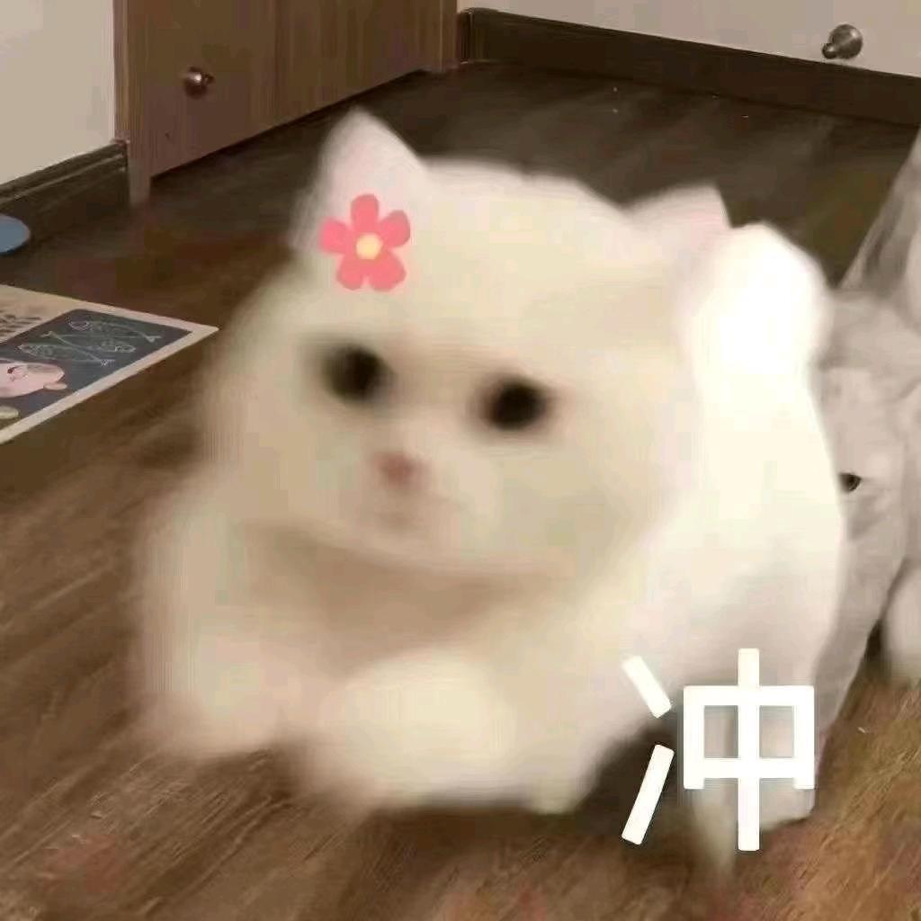 ꒰ঌ小Q真奇妙໒꒱