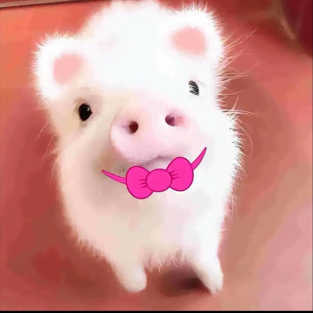 起司周