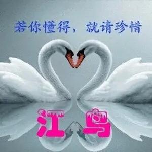江💘鸟音乐🎵