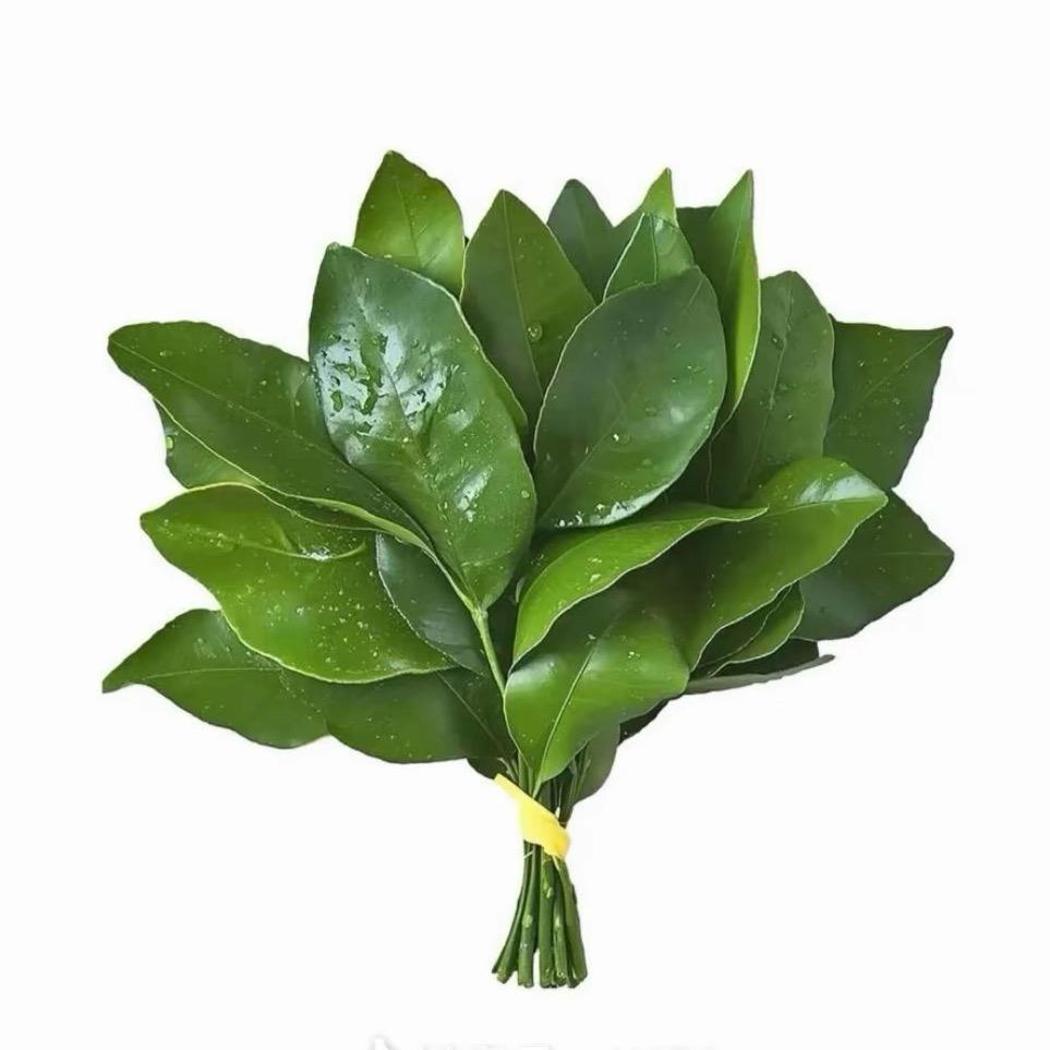 汤了个圆