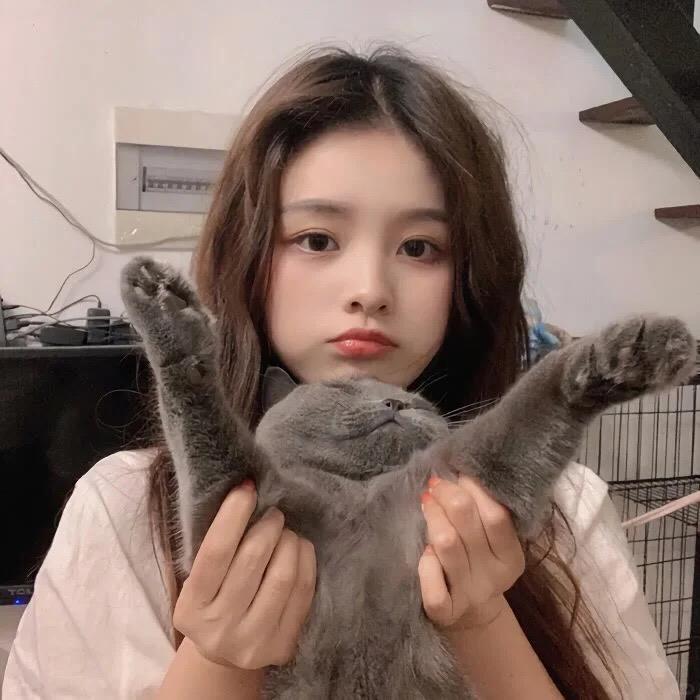 三舅妈的推荐