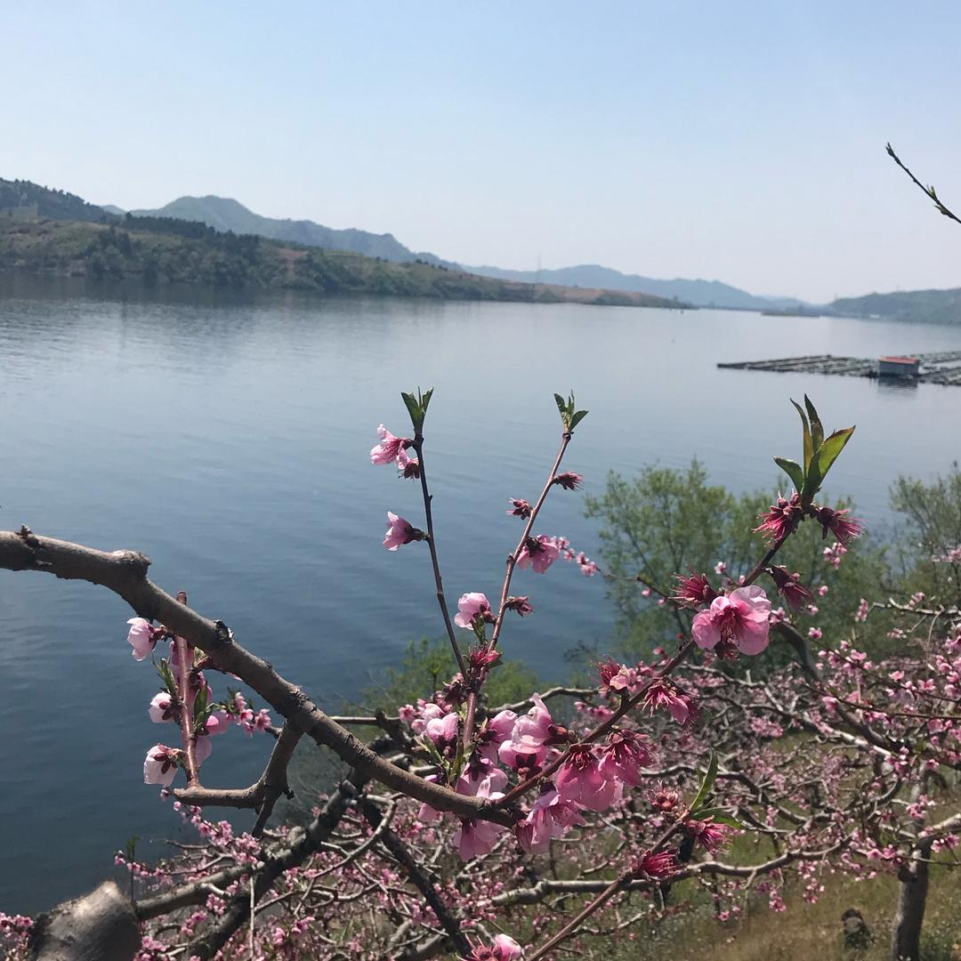 @骏豪