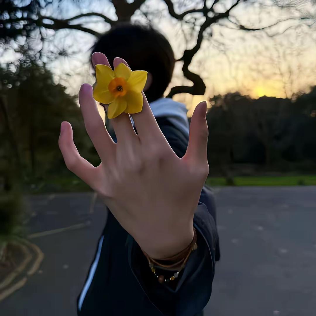 小白不碎觉