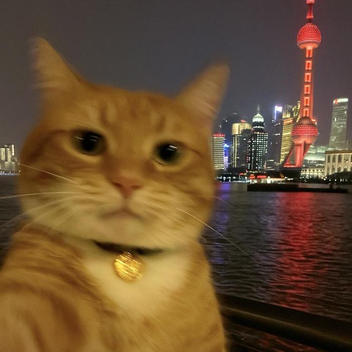 她的睫毛)