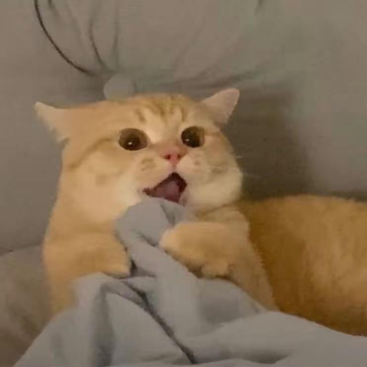 慕云