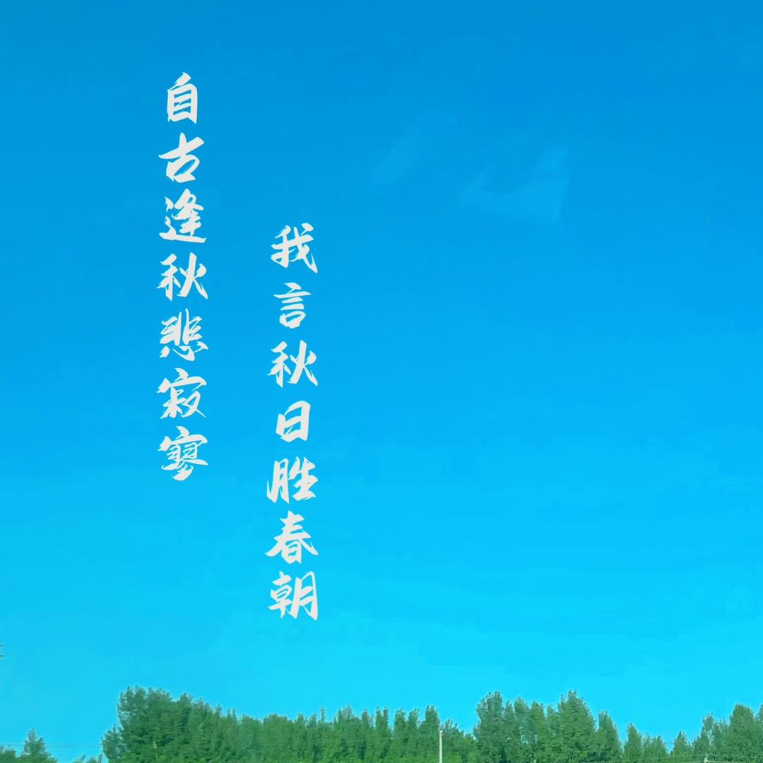 山有木兮小木枝