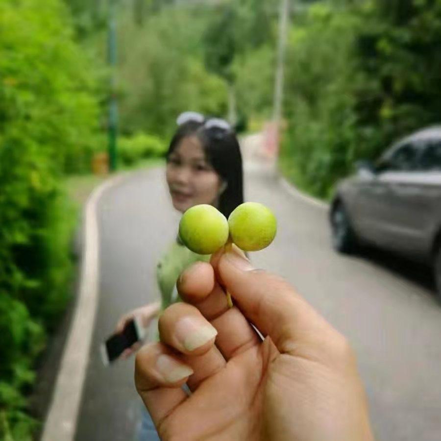 你与时光皆薄凉