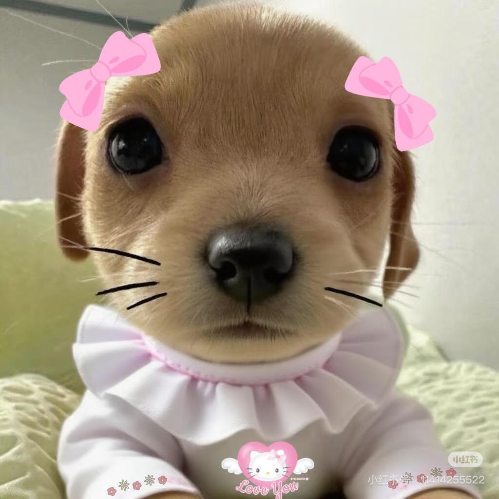 吹泡泡