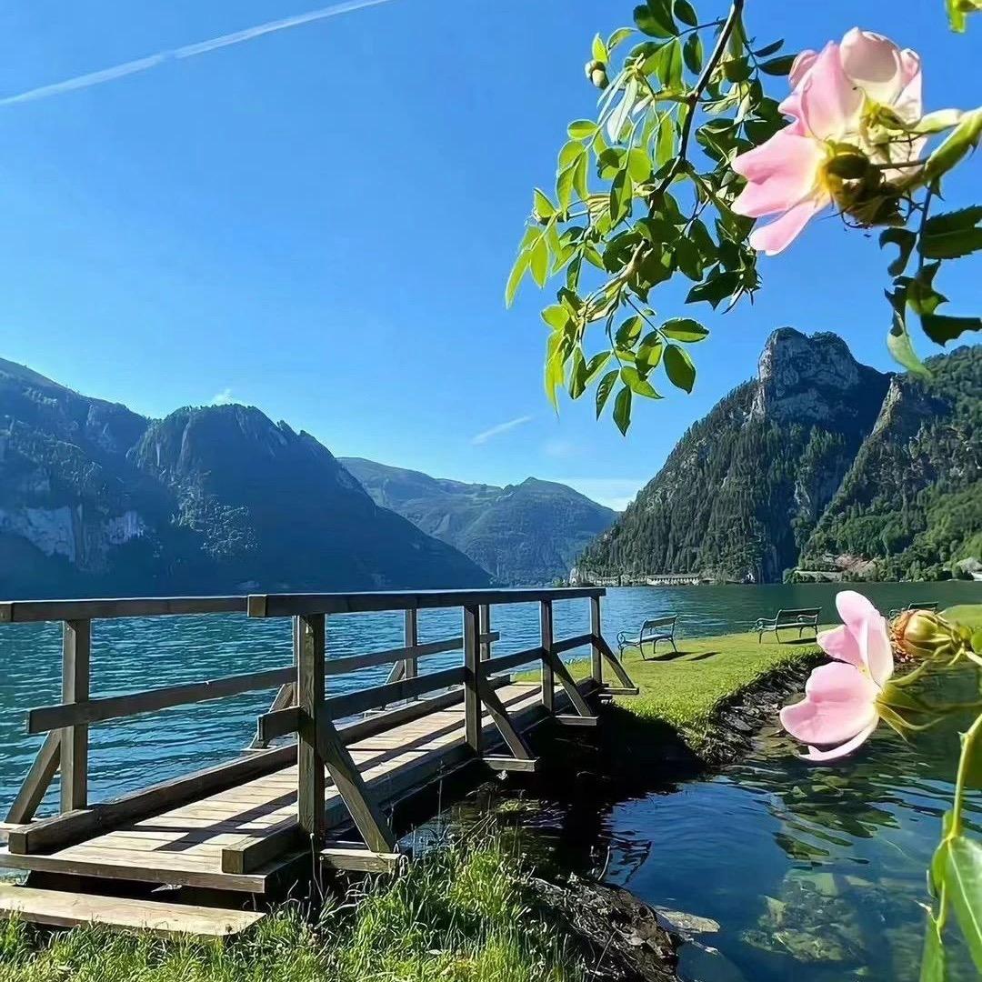 @放下所有放不下你