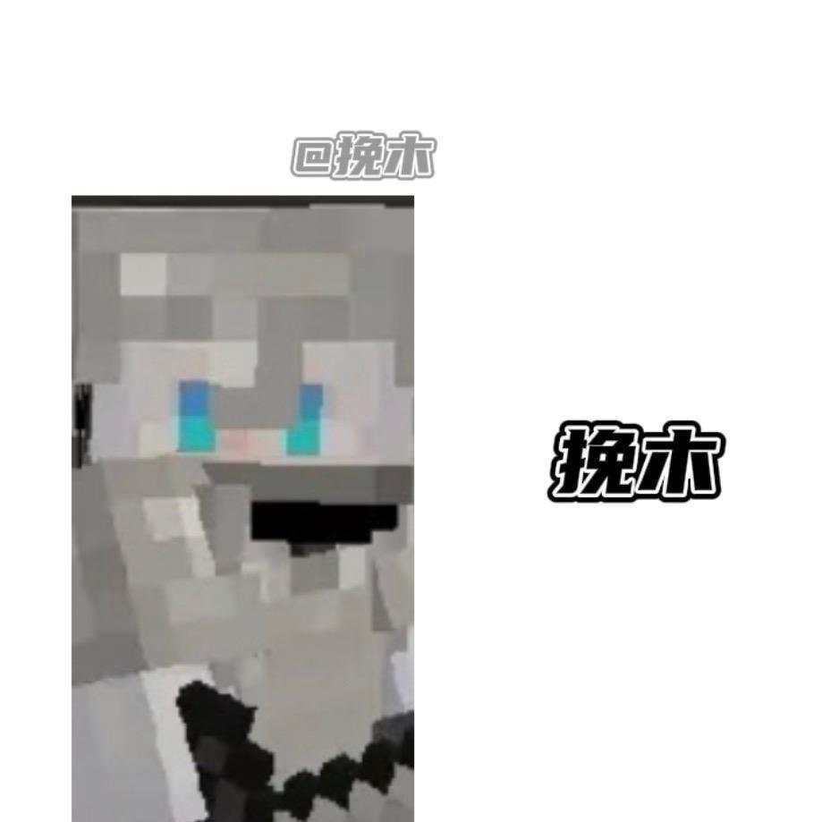 挽木