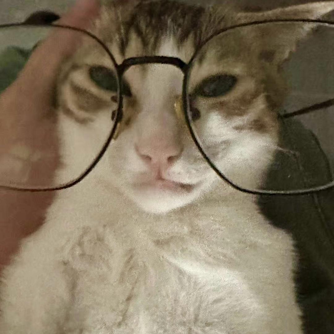 纸箱子