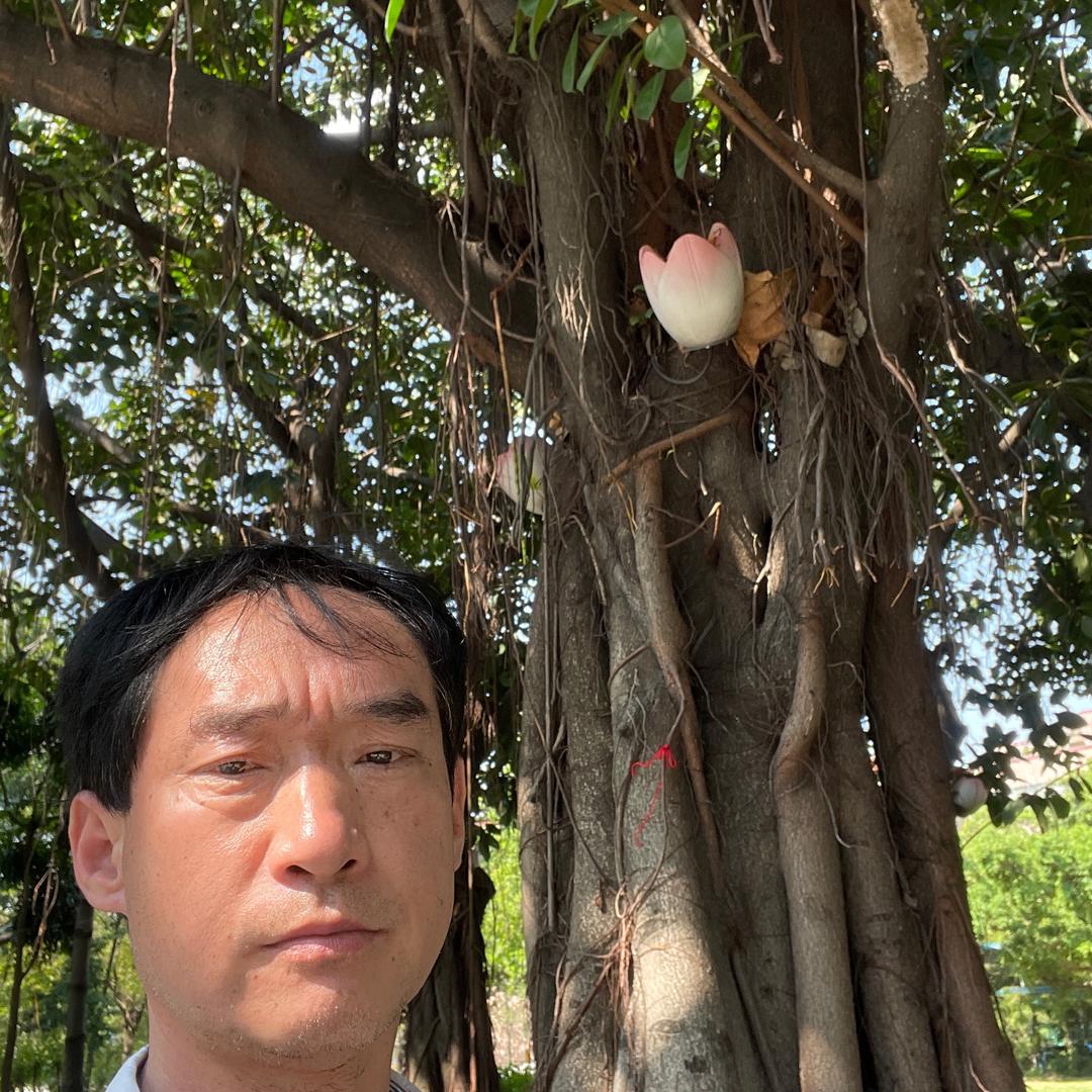 松 间听雾