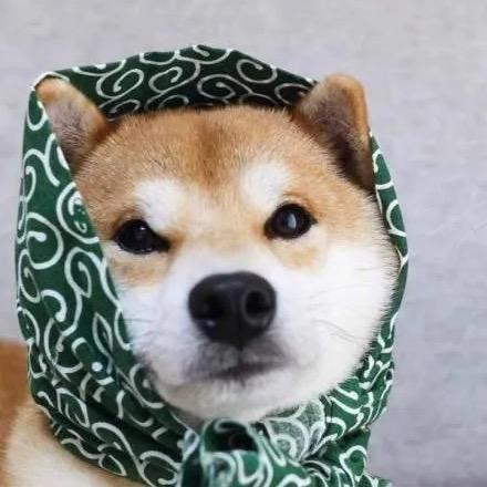 犟🐶小张