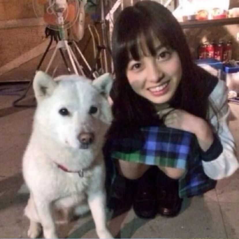 闪亮的屁灯、