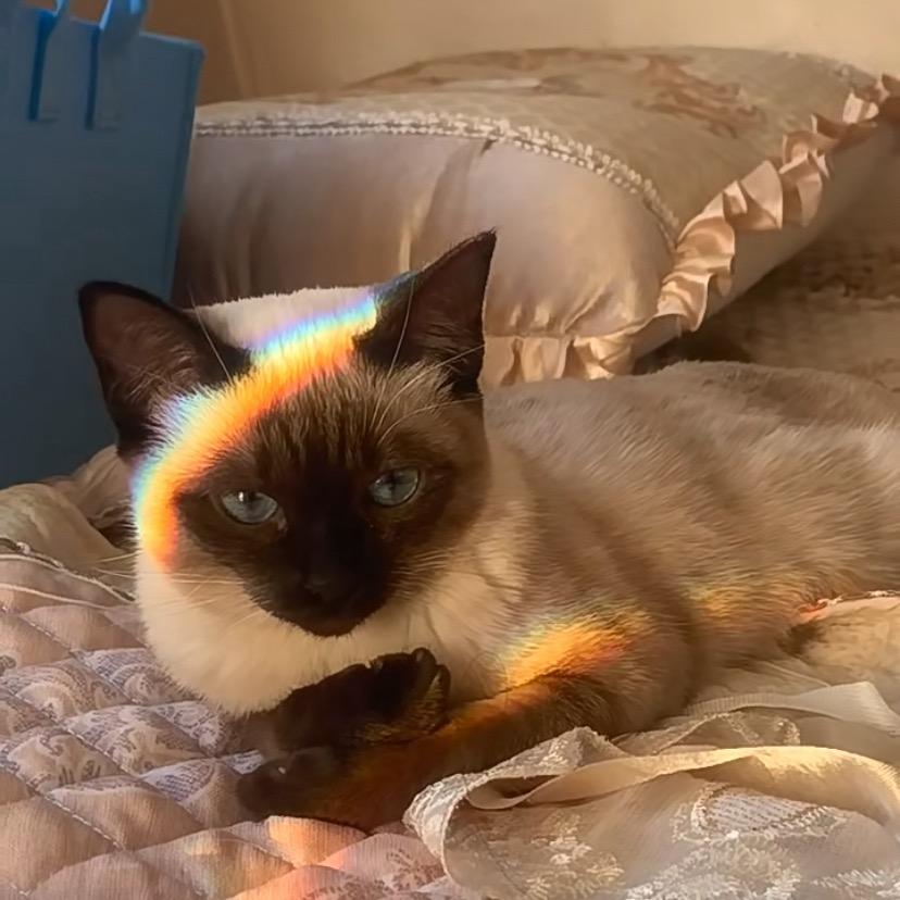 宇菲.⭐️（8.30）🦋