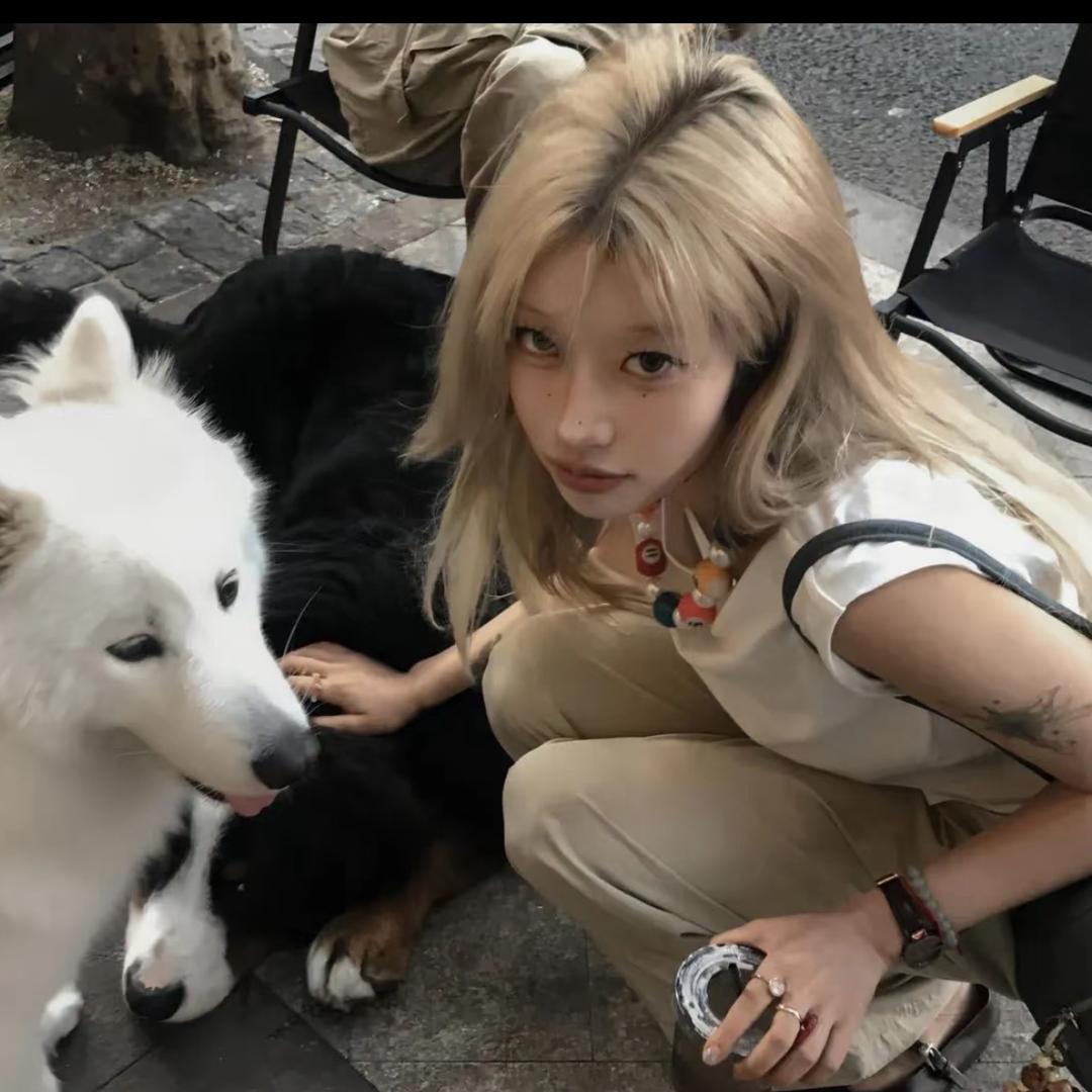 小狗高财生🐶