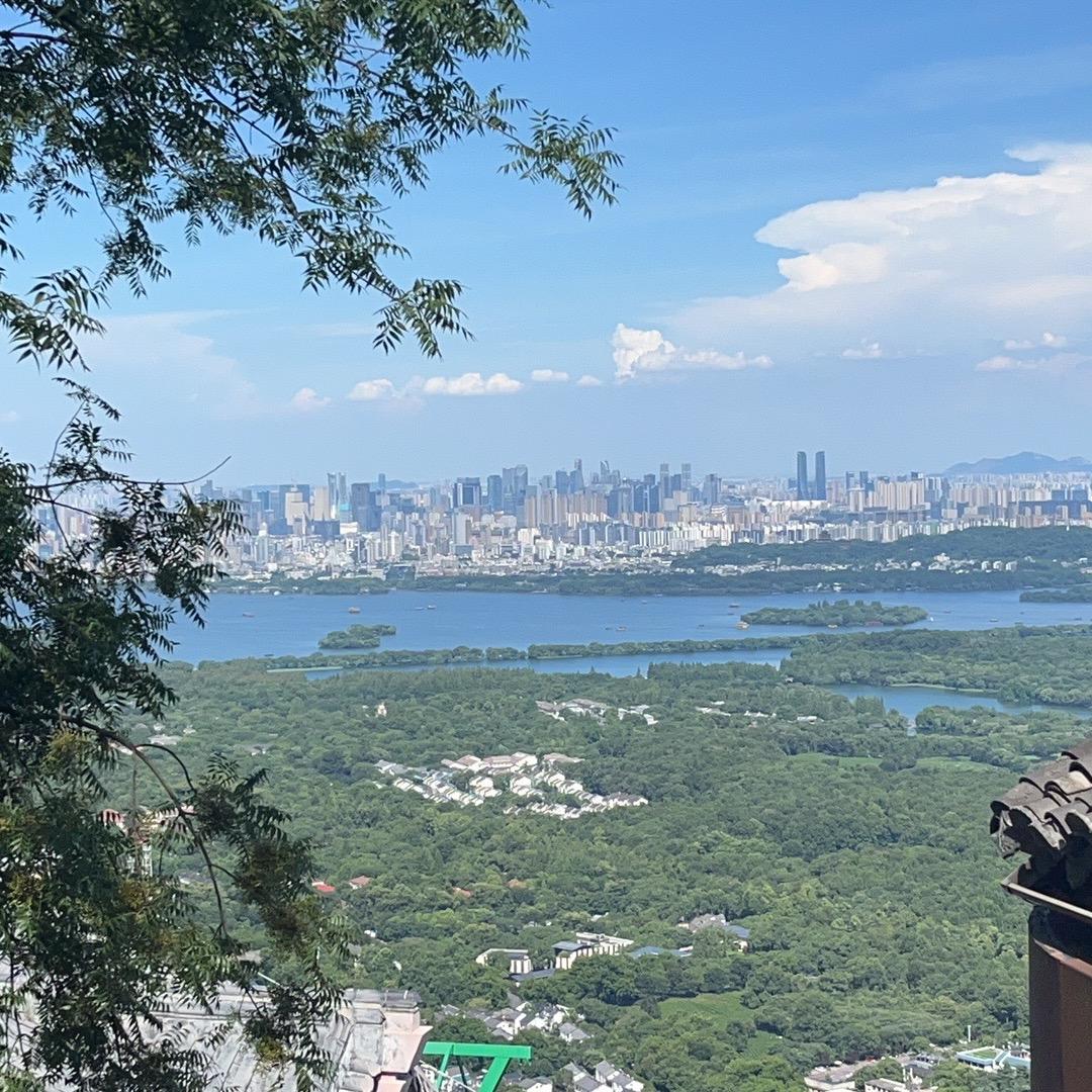 头上顶着小啾啾