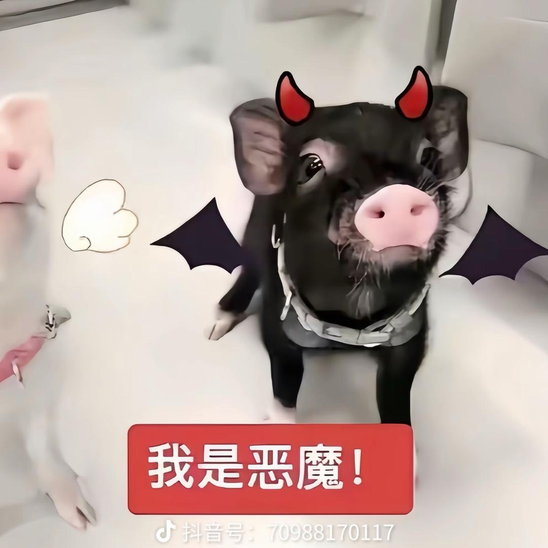 八十八奶奶过六十六大寿我将当场掀翻桌子