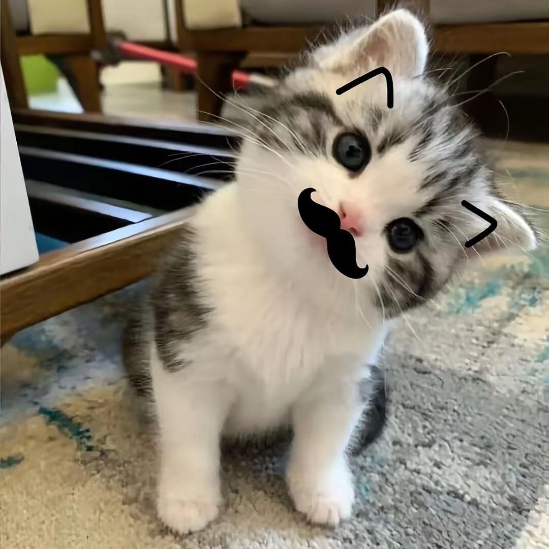 缘自冬