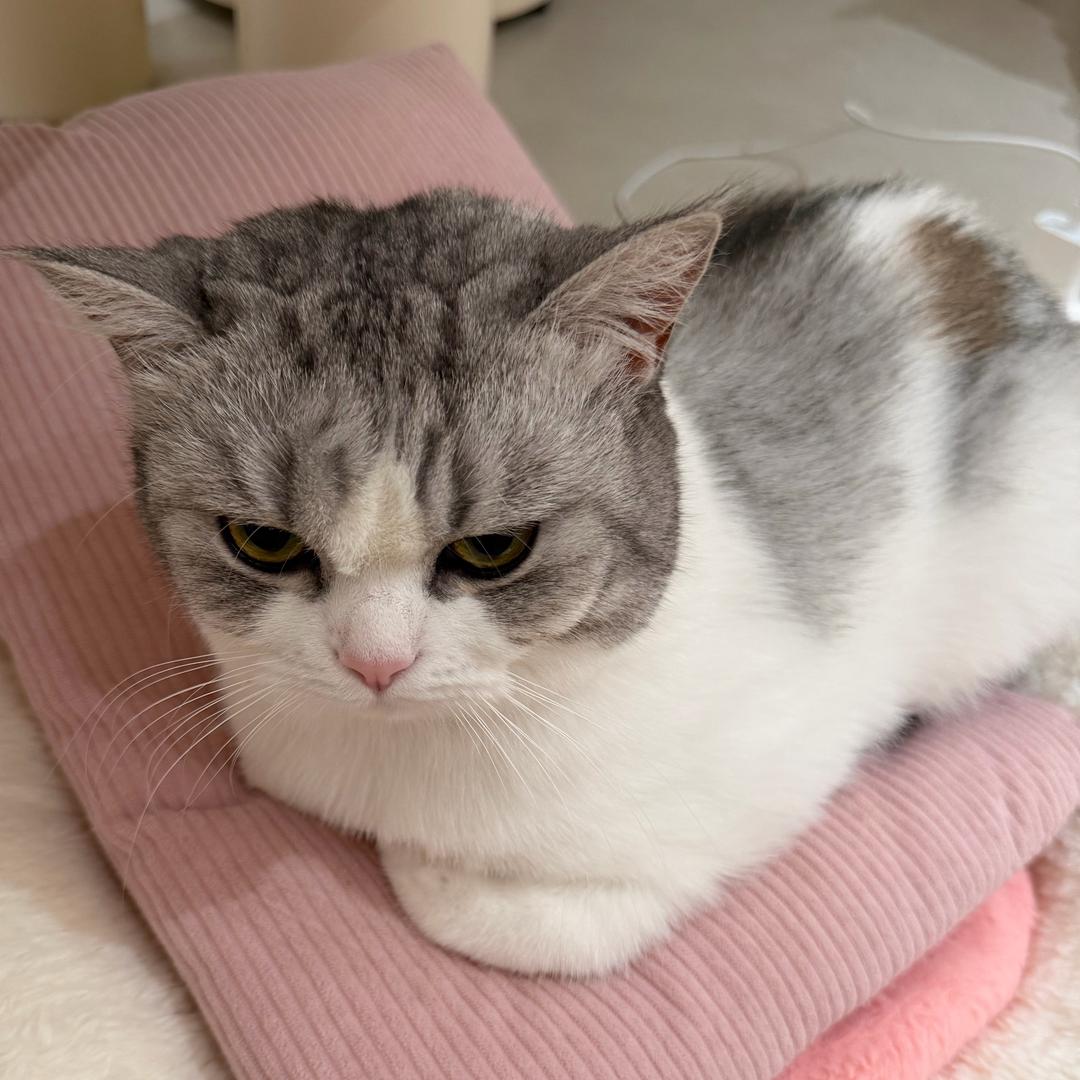 (⁎⁍̴̛ᴗ⁍̴̛⁎)