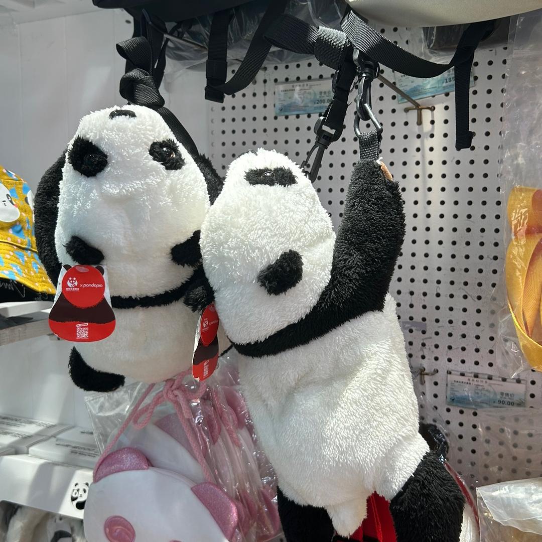 哼唱  小情歌 、