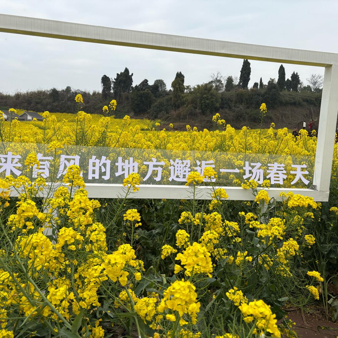 西瓜汁