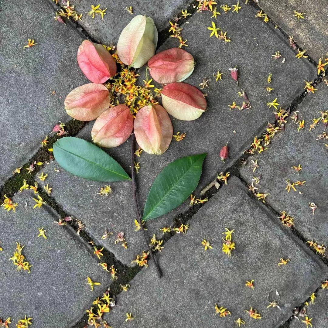 🌻🌻🌻